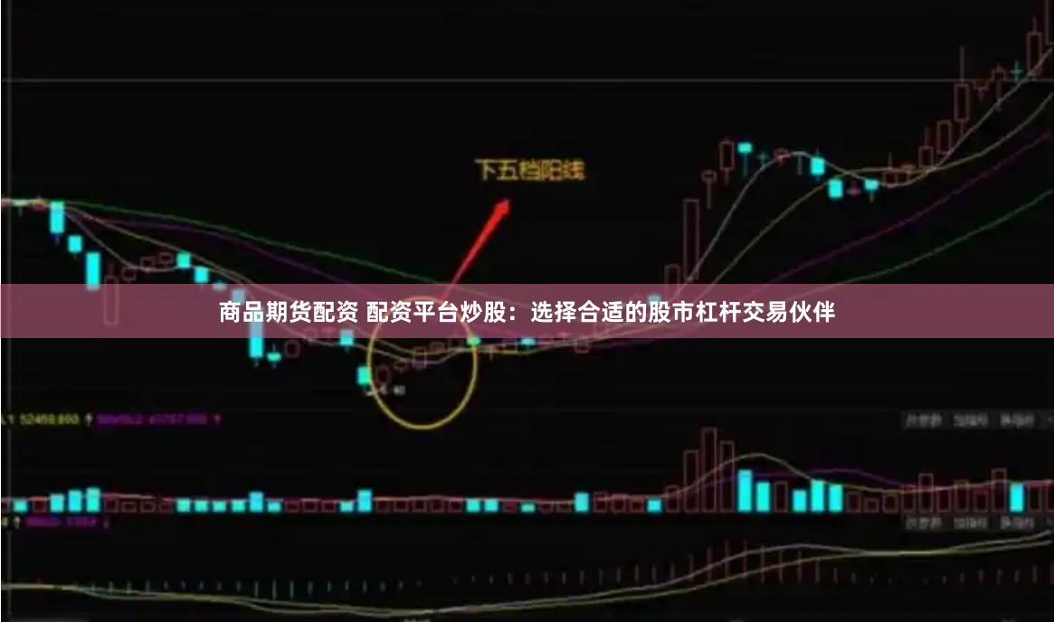 商品期货配资 配资平台炒股:选择合适的股市杠杆交易伙伴