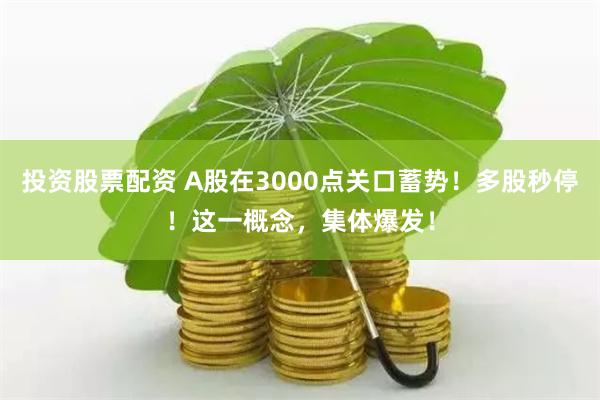 投资股票配资 A股在3000点关口蓄势！多股秒停！这一概念，集体爆发！