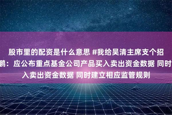 股市里的配资是什么意思 #我给吴清主席支个招#引发热议!董少鹏:应公布重点基金公司产品买入卖出资金数据 同时建立相应监管规则
