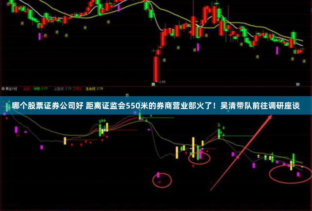 哪个股票证券公司好 距离证监会550米的券商营业部火了!吴清带队前往调研座谈