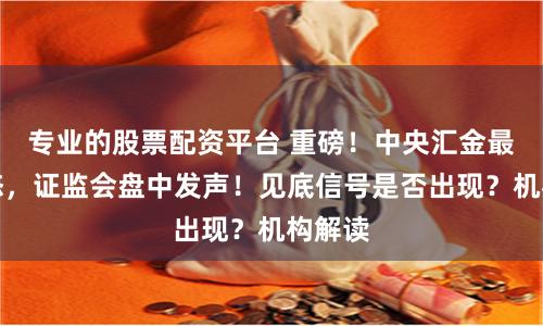 专业的股票配资平台 重磅！中央汇金最新表态，证监会盘中发声！见底信号是否出现？机构解读
