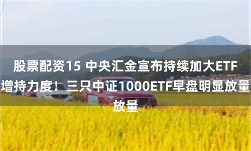 股票配资15 中央汇金宣布持续加大ETF增持力度！三只中证1000ETF早盘明显放量