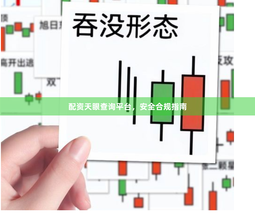 配资天眼查询平台,安全合规指南