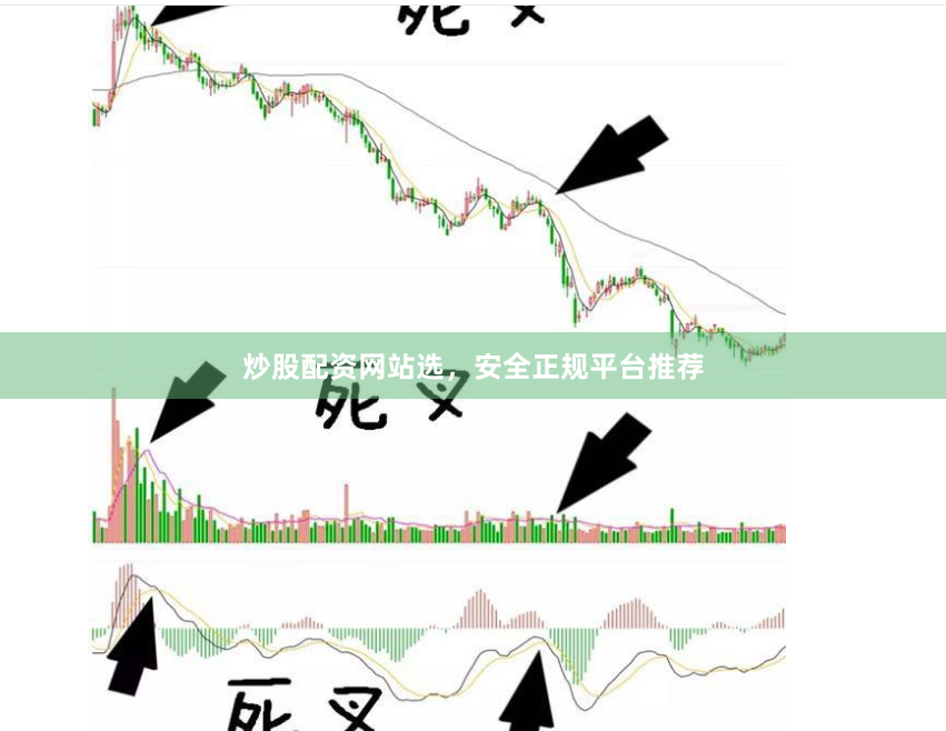 炒股配资网站选，安全正规平台推荐