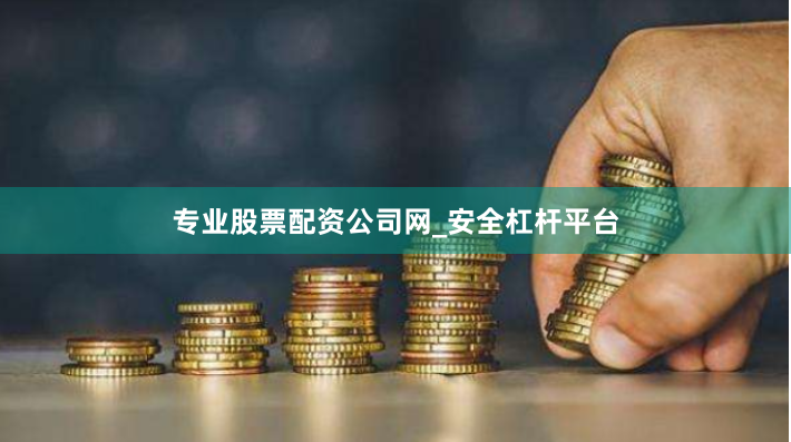 专业股票配资公司网_安全杠杆平台